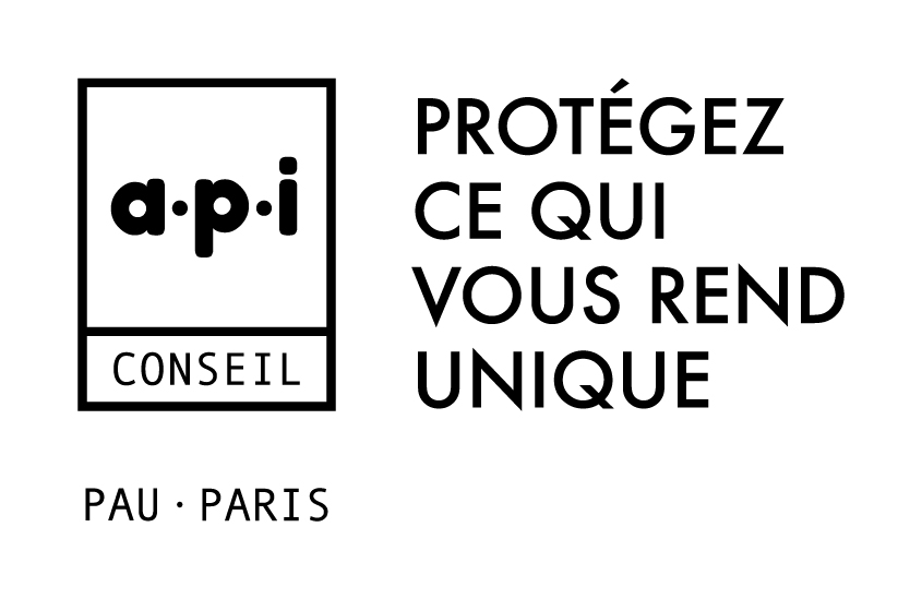 Logo adherent A.P.I. CONSEIL