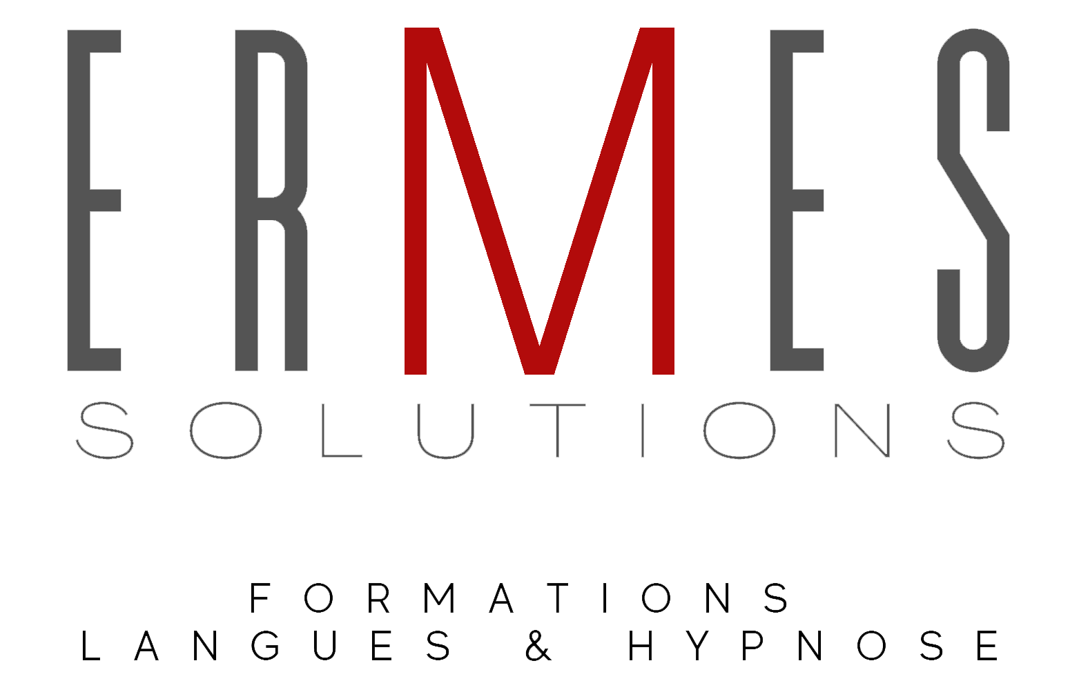 Logo adherent ERMES Solutions